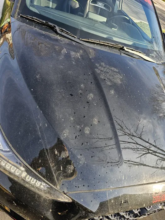 Hawk Auto Wash & Storage Picture 4