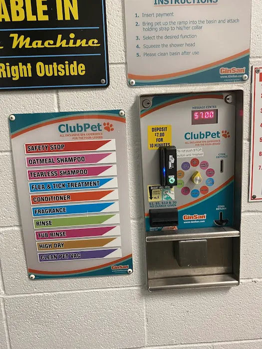 Rainstorm Car Wash Picture 7