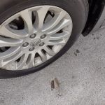 Sparkle Express Car Wash Oswego