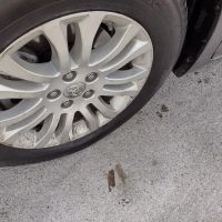 Sparkle Express Car Wash Oswego ico