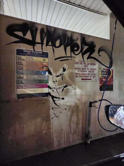 Jolly Wash Picture 6