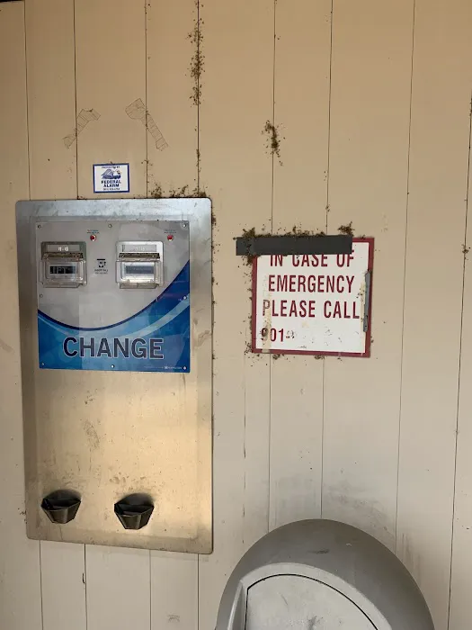 Jolly Wash Picture 8