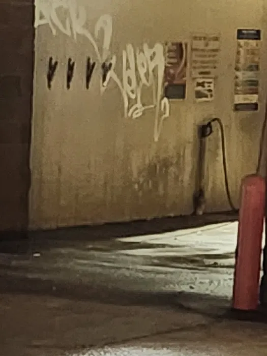 Jolly Wash Picture 5