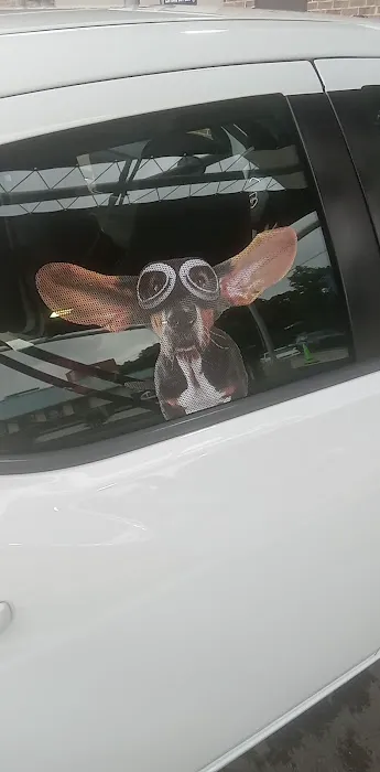 Wash 37055 Picture 5