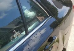 Wash N Dash photo 3