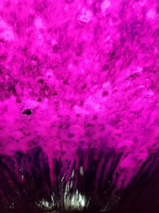 Wash N Dash Picture 10