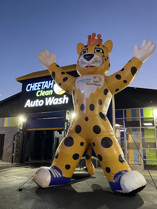Cheetah Clean Auto Wash Picture 3