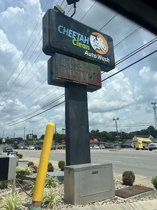 Cheetah Clean Auto Wash Picture 7