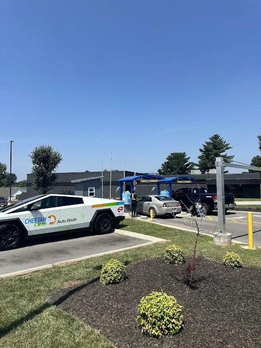 Cheetah Clean Auto Wash Picture 1