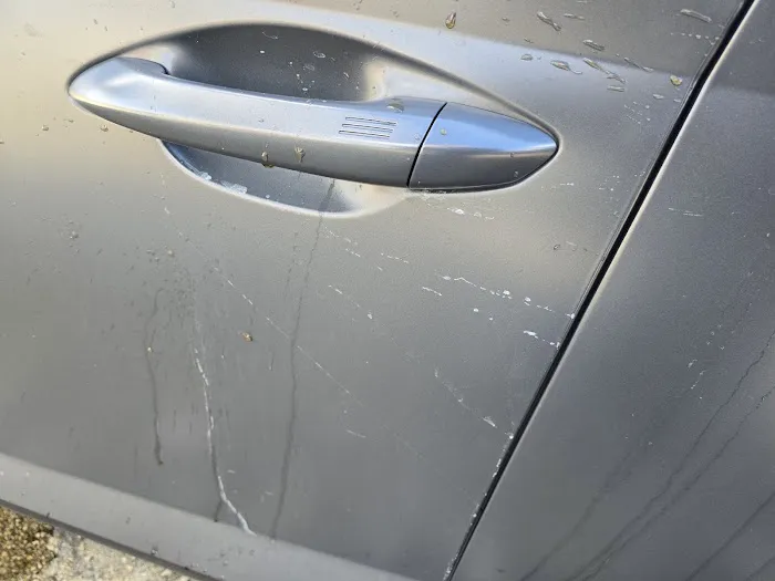 Super Wash Picture 3