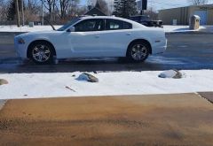 Super Wash photo 1