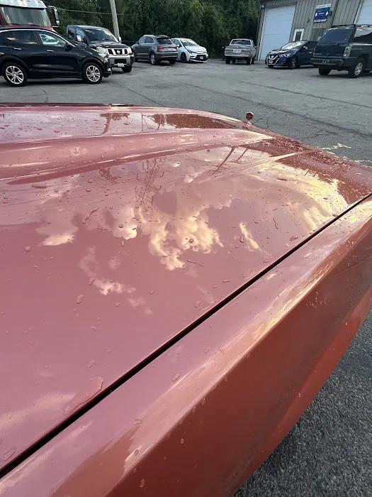 Diddy’s Glasshouse Picture 7