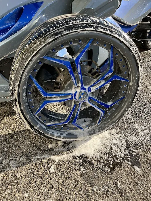 Diddy’s Glasshouse Picture 10