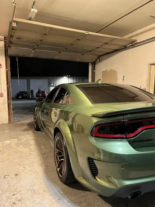 Diddy’s Glasshouse Picture 3