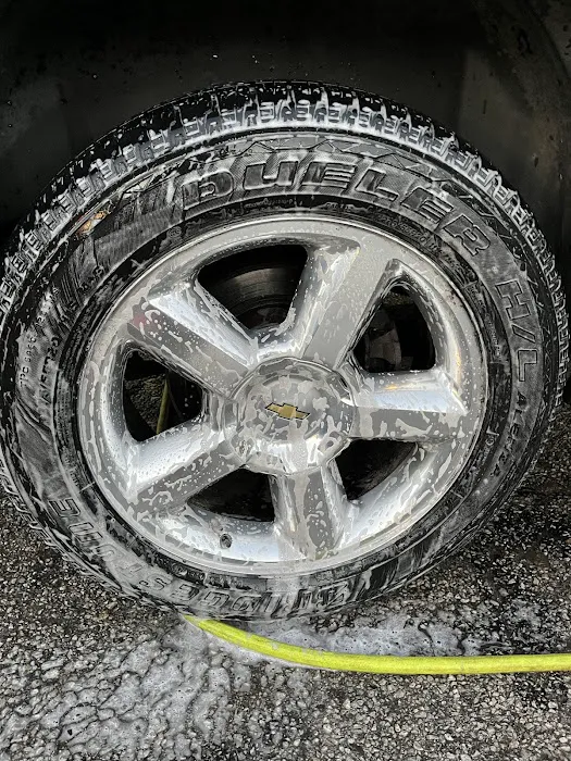 Diddy’s Glasshouse Picture 5