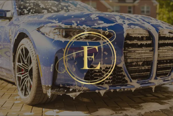 Exotic Detail & Wash Picture 1