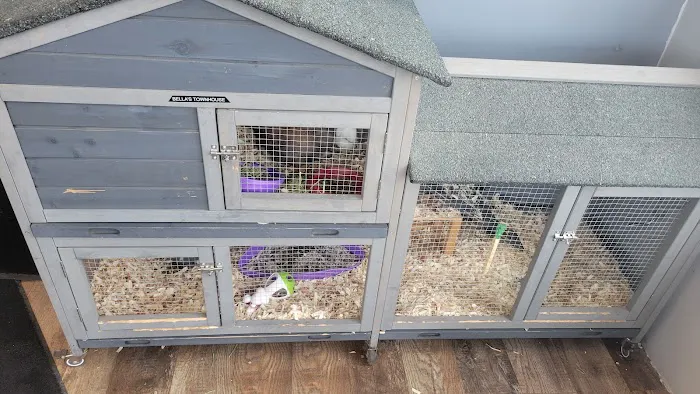 Vic's Express Car Wash & Detail Center Picture 1