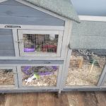 Vic's Express Car Wash & Detail Center