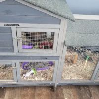 Vic's Express Car Wash & Detail Center ico