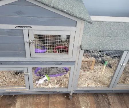 Vic's Express Car Wash & Detail Center