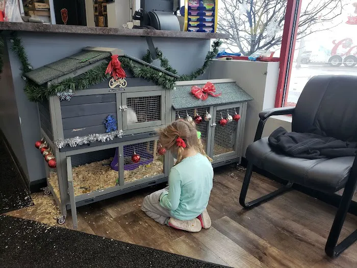 Vic's Express Car Wash & Detail Center Picture 9