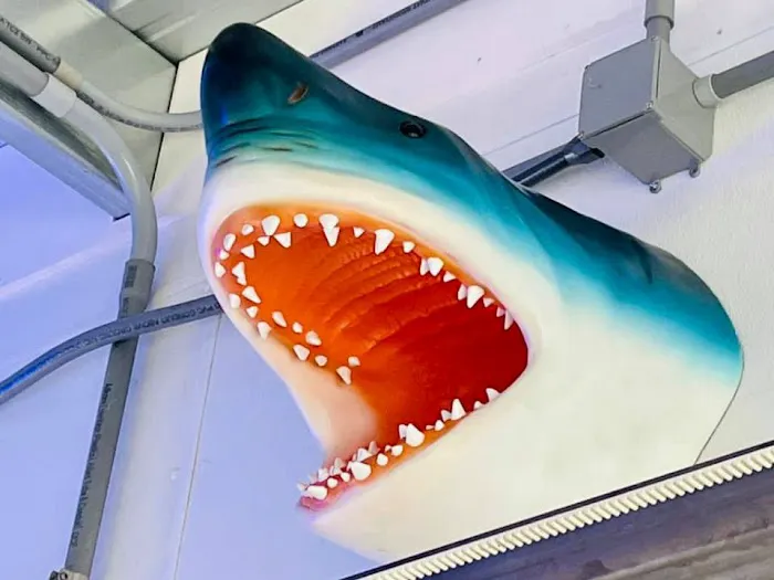 Splash and Dash Car Wash Picture 6