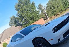 The Detailer photo 2