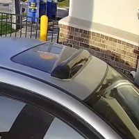 Camel Express Car Wash ico