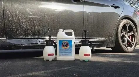 The Best Car Wash Soap for American Weather Conditions | Seasonal Car Cleaning Guide