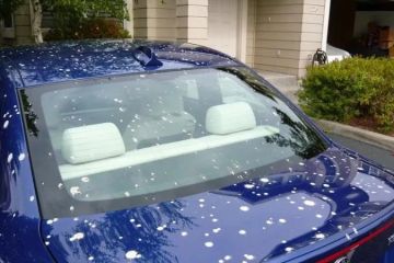 Tips to Remove Bird Droppings Without Damaging Paint