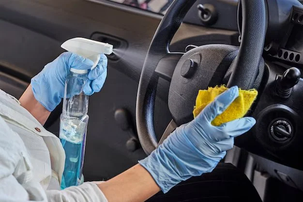 How to Disinfect Your Vehicle Interior Like a Pro for Lasting Cleanliness