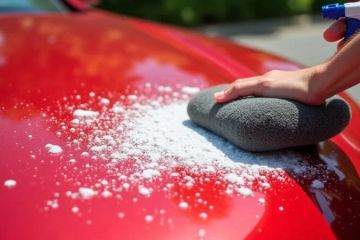 How to Wash a Car with Bird Droppings Safely: Tips and Techniques