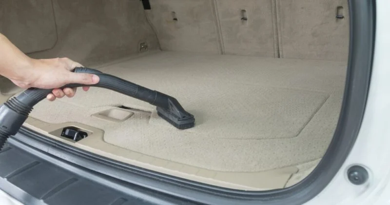 How to Clean Trunk Interiors and Remove Odors