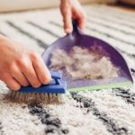 How to Clean Dog Hair from Seats and Carpets