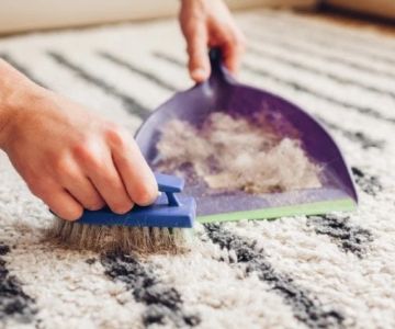 How to Clean Dog Hair from Seats and Carpets