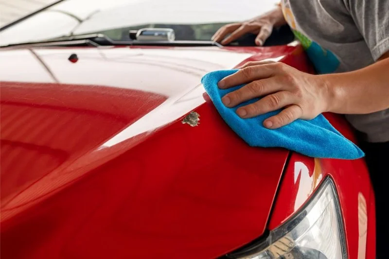 How to Prevent and Remove Bird Droppings Safely