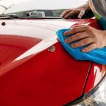 How to Prevent and Remove Bird Droppings Safely