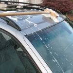 How to Wash Cars with Split Sunroof Designs | Gibby Car Wash