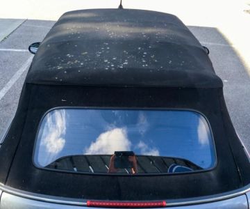 Best Practices for Maintaining Convertible Fabric Roofs