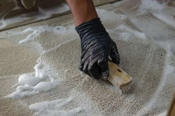 How to Clean Carpets with Minimal Water Use