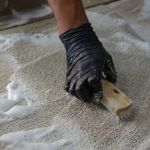 How to Clean Carpets with Minimal Water Use
