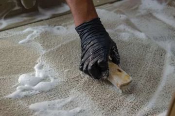 How to Clean Carpets with Minimal Water Use