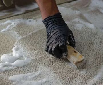 How to Clean Carpets with Minimal Water Use