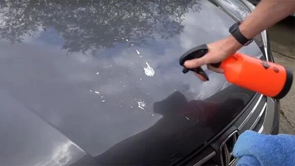 How to Remove Bird Droppings From Car Paint – Act Fast Before Etching Happens | Car Care Guide