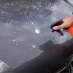 How to Remove Bird Droppings From Car Paint – Act Fast Before Etching Happens | Car Care Guide
