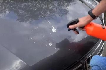 How to Remove Bird Droppings From Car Paint – Act Fast Before Etching Happens | Car Care Guide