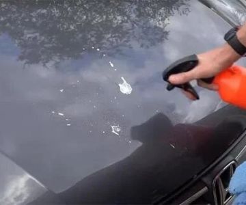 How to Remove Bird Droppings From Car Paint – Act Fast Before Etching Happens | Car Care Guide