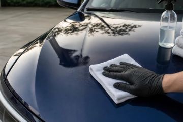 Bird Droppings on Car Paint: A Safer Removal Plan