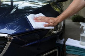 Bug Splatter on Car Paint: Soften It Before Scrubbing